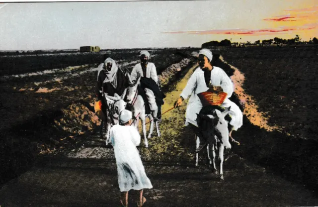 Ägypten - Rückkehr vom Feld - alte Postkarte