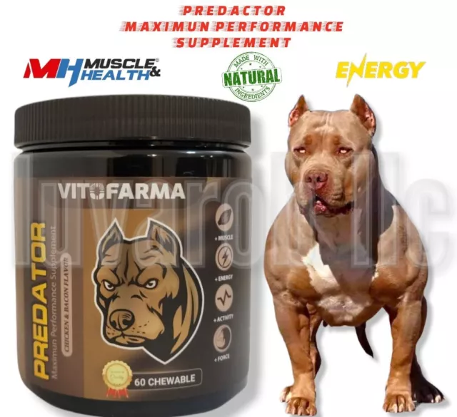 Muscle Mass Builder Supplement For Dog Predator 60 Chewables Vitamina Perros