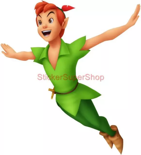 Choose Size - PETER PAN Disney Decal Removable WALL STICKER Home Decor Art Movie