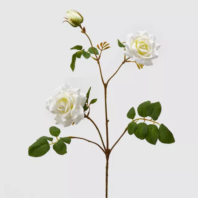 Rosa Mara Rex Ramo 73Cm Avorio Edg