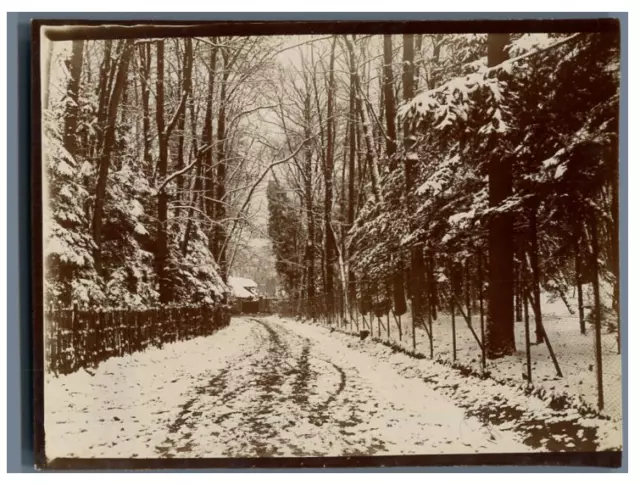 Paysage d&#039;hiver Vintage citrate print Tirage citrate  9x12  Circa 190