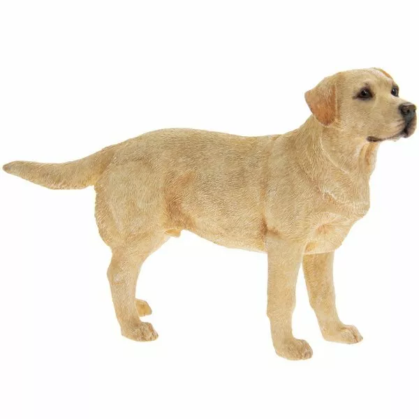 Golden Labrador Dog Ornament Figurine Gift Boxed