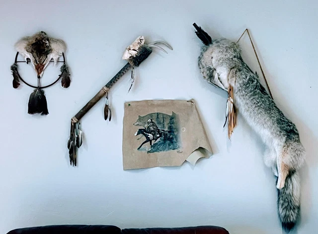 Native American Coyote Quiver & Arrows, Coyote Dream Catcher, Stick,Painting set