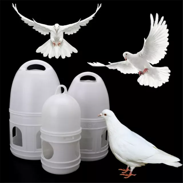 Pigeons Mangeoire eau Pot Pet Buveur Distributeur Container oiseaux Fournitures