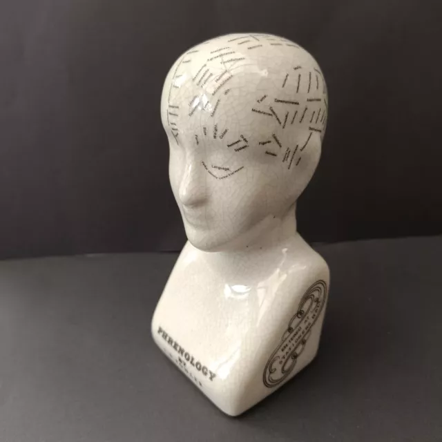 Phrenology Head  6" Ceramic L N Fowler Replica Scientific