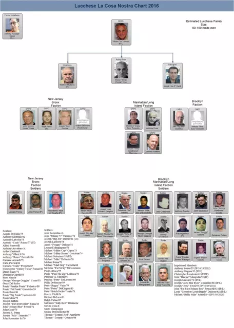 Lucchese Family Chart 8X10 Photo Mafia Organized Crime Mobster Mob Picture 2016