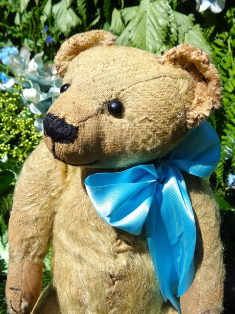 An Endearing Antique Circa 1919 German Teddy Bear 14" Possibly Made By Strunz An Endearing Antique Circa 1919 German Teddy Bear 14" Possibly Made By Strunz