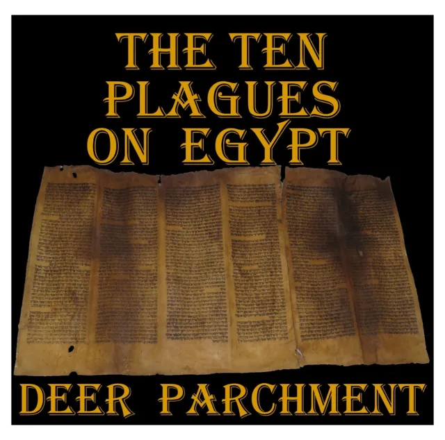 Rare Torah Bible Scroll Manuscript On Deer Parchment From Morocco 350-400 Yrs