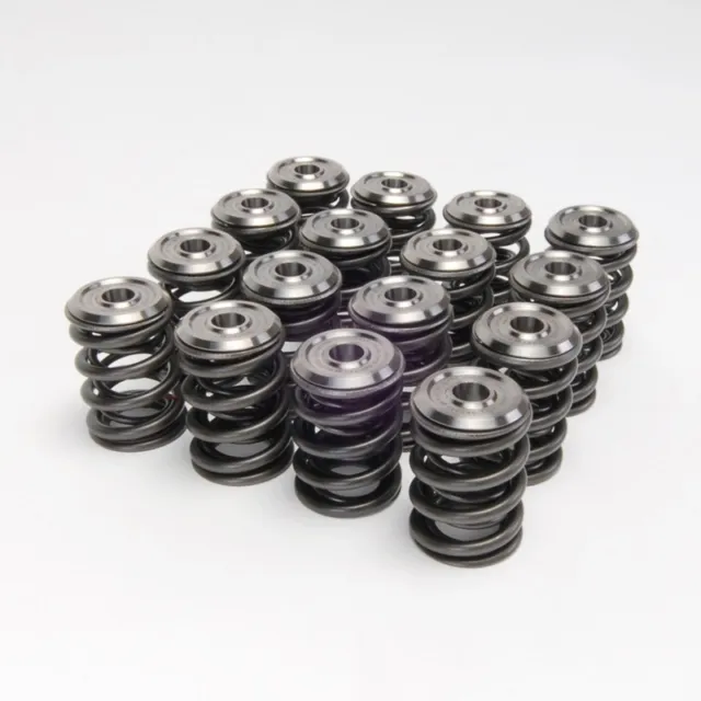 Skunk2 Racing Valve Springs Retainers Acura Integra Gsr Type R B18C B18C1 B18C5