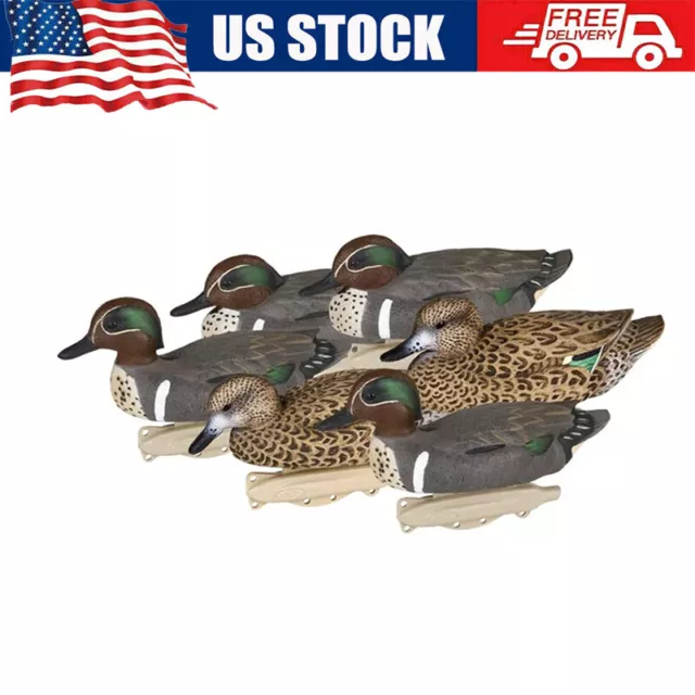 6 Pack 10.5'' Waterfowl Floaters Outdoor Storm Front 2 Green Winged Teal Decoys