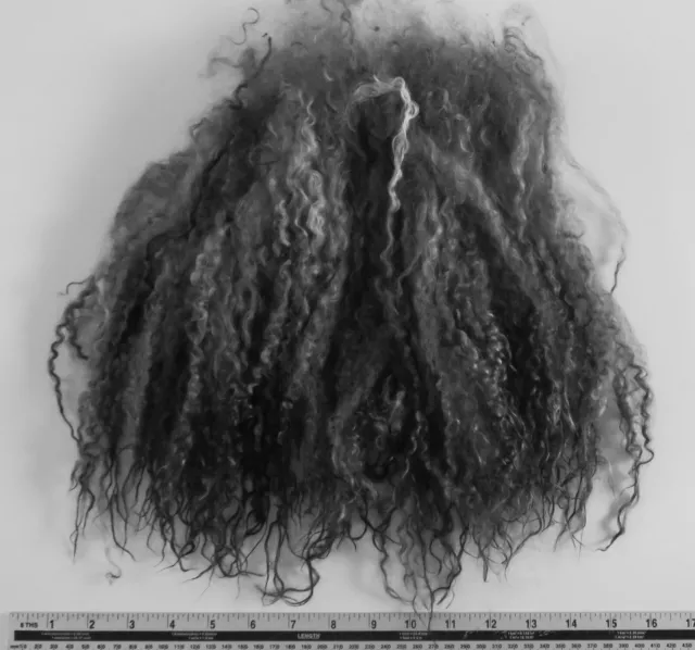 44gm Teeswater Super Long  Locks  BLACK GOING GREY Hand Dyed Witch Doll Hair