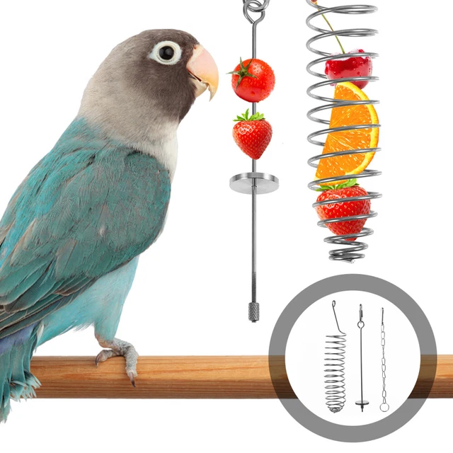 Juguete Comedero Para Loros De Bambú – Herramienta De Alimentación Y Mordida, Educativo Para Aves (CIYODO)