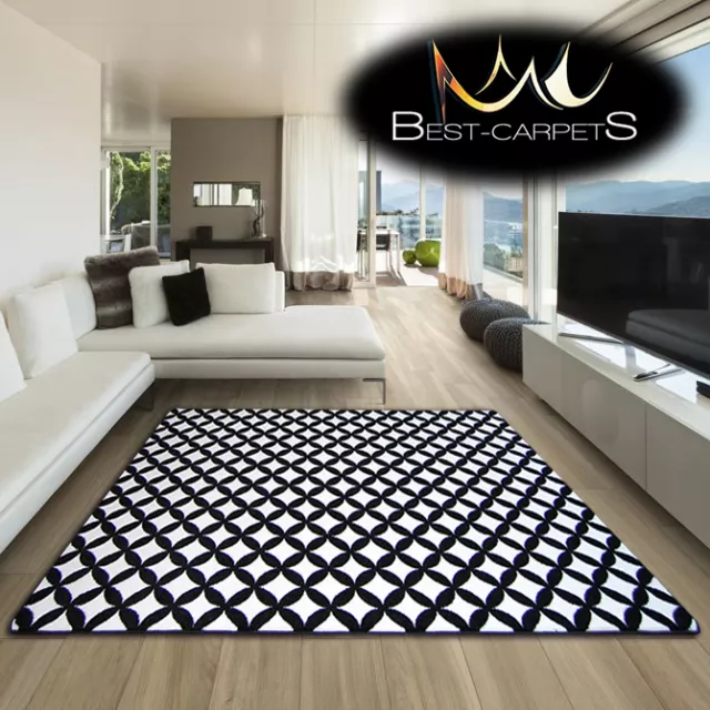 Amazing Thick Modern Rugs Sketch White Black F757 Large Size Best-Carpets