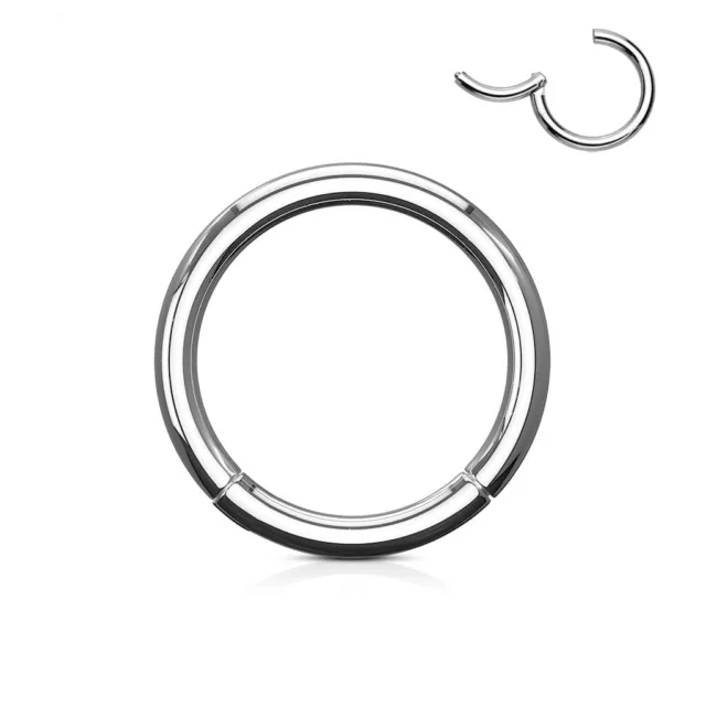 1 Steel Hinged Segment Hoop Ring Nose Ear 10g 12g to 18g 20g - 6mm to 16mm #RH3