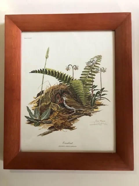 Ray Harm Limited Edition Art Print "Ovenbird," Signed, Framed
