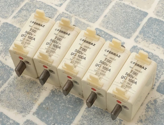 lot de 5 Fusibles Ferraz à pattes centrées taille 00 100A 500V Ref. A98302 T00