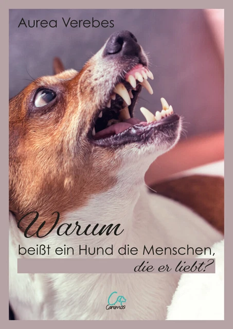 Warum beißt ein Hund die Menschen, die er liebt? | Aurea Verebes | Taschenbuch