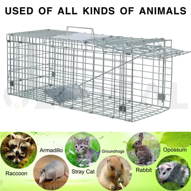 XL TRAP Humane Possum Feral Cage Cat Rabbit Bird Animal Dog Hare Fox Live Catch 2