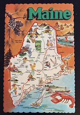 Maine “ Pine Tree State” United States Map Card Vintage Postcard