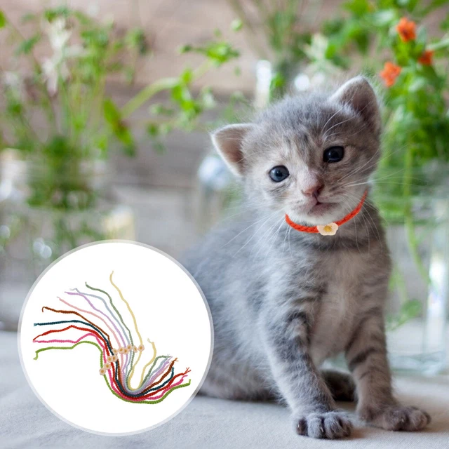 Collar para la detección de mascotas collares de gatito hilo trenzado