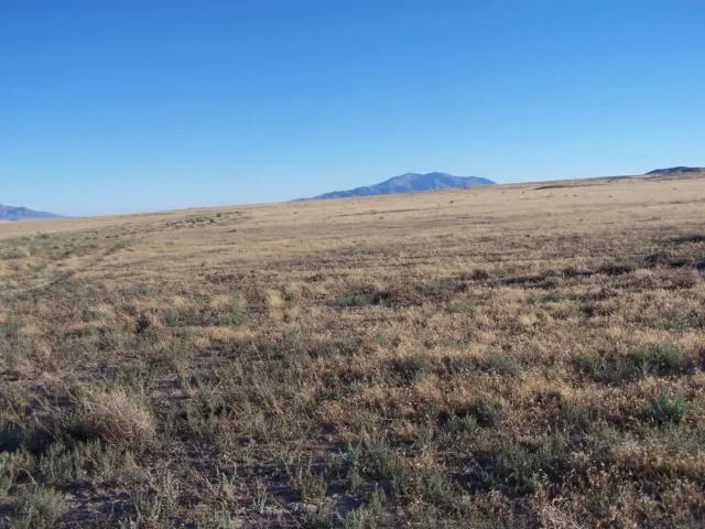 Amazing Mini Ranch Land. Grass Valley Nevada Usa 10 Acres