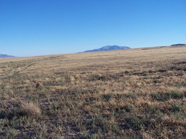 Amazing Mini Ranch Land. Grass Valley Nevada Usa 10 Acres Amazing Mini Ranch Land. Grass Valley Nevada Usa 10 Acres