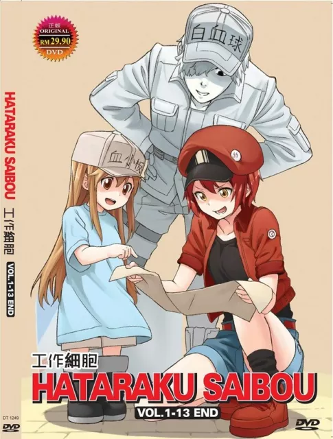 HATARAKU SAIBOU : KAZE SHOUKOUGUN - COMPLETE ANIME MOVIE DVD BOX SET:  : DVD & Blu-ray