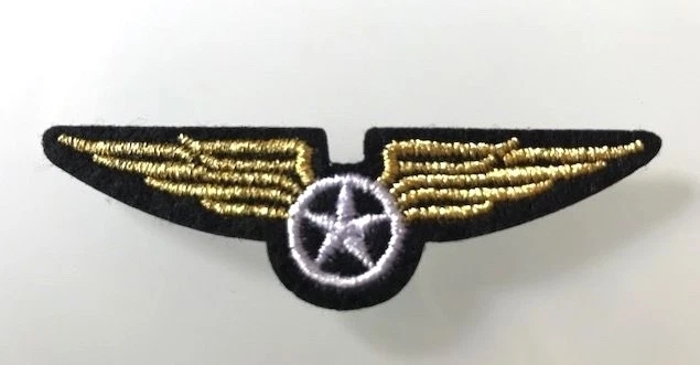 Écusson Brodé Dragon | Boutique Des Arts Martiaux - Foto 5