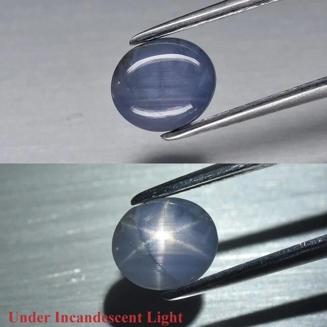 2.50ct 7.7x6.8mm Oval Cab Purplish Blue 6 Ray Star Sapphire Unheated Sri-Lanka