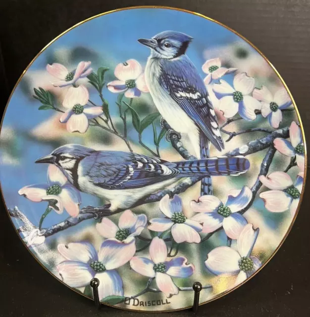 VTG Favorite American Songbirds Blue Jays Of Spring Plate, O' Driscoll 1989 8.5"