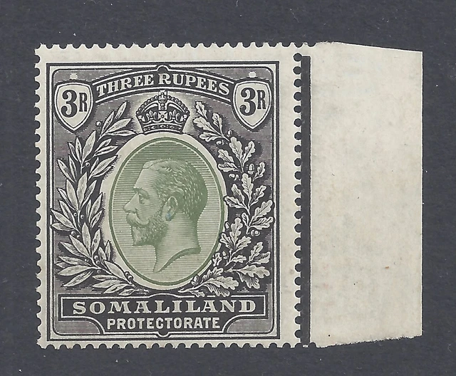 SOMALILAND PROTECTORATE GV 1921 3r. DULL GREEN AND BLACK WMK. MSCA M.N.H.  *SG84