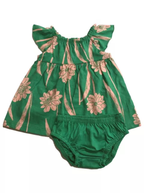 Carters Infant Girls Green & Pink Floral Dress 2pc Baby Outfit Set