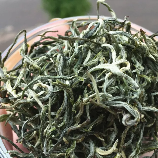 Organic Early Spring Snowy Mountain Maofeng Wild Silver Tips Yunnan Green Tea