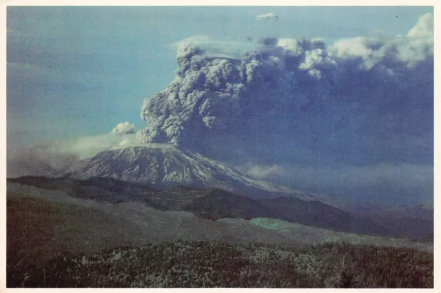 Mount St Helens Eruption Volcano 1980 Washington Unused 6x4 Vtg Postcard U5