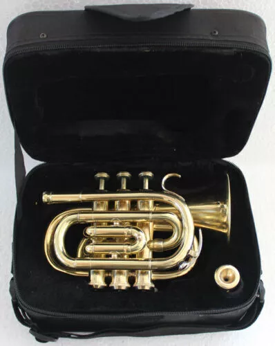 Nice deal Brass Finish Bb Pocket Trumpet+free Hard Case+mouthpiece-