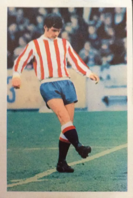 Eric Skeels, Stoke City FC. #253 Wunderbare Welt der Fußballstars Sammelkarte