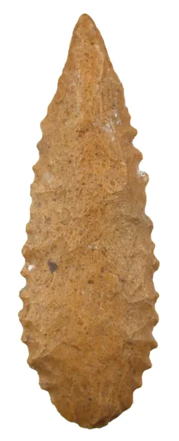 Neolithikum  Ausgezeichnete gezähnte Pfeilspitze aus der Tenere in Niger  3713
