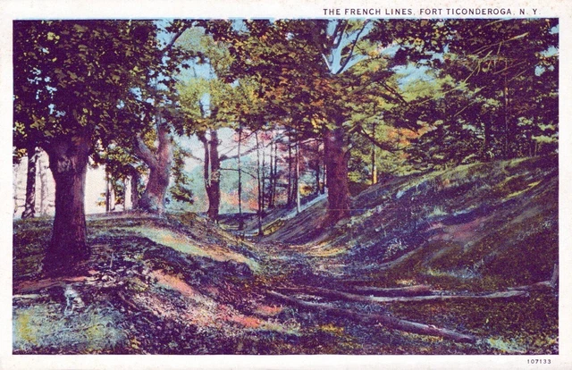 Aeroplane Aerial View of Fort Ticonderoga New York Postcard
