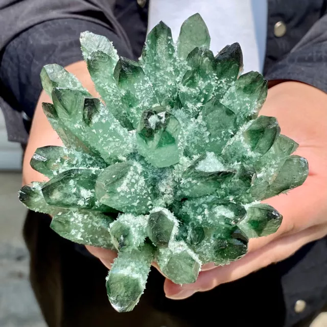 1.44LB  New Find Green Phantom Quartz Crystal Cluster Mineral Specimen Healing