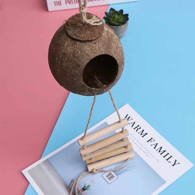 Cáscara de coco natural nido de pájaro - con escalera mascota loros juego