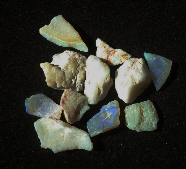 Opales d'Australie du Sud, morceaux d'opales et de coquillages fossiles 6 g.