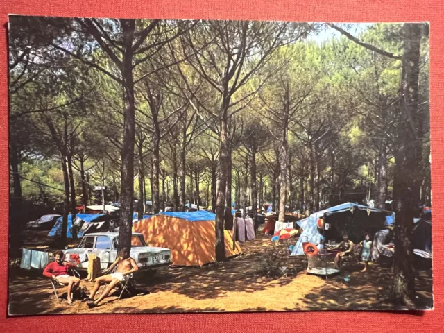 Cartolina - Camping Le Esperidi - Marina di Bibbona ( Livorno ) - 1971