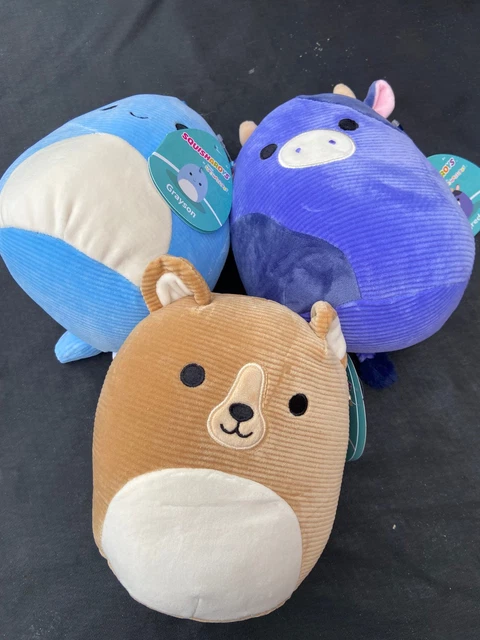 Squishmallows Squisharoys Greta Grizzlybär – 19 Cm, Offizielles Jazwares Plüsch, Superweich, Seltenes Modell 2024