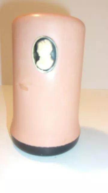 Vintage Pink Cameo Cleanser Shaker with Empty Cameo Cleanser Can Inside