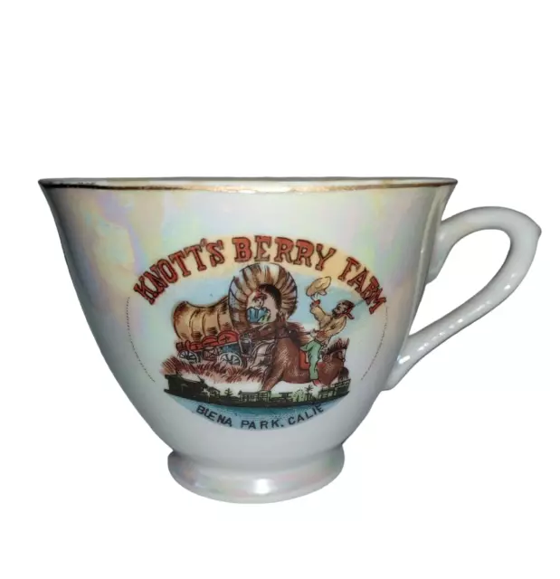 VINTAGE KNOTT'S BERRY Farms Opalescent Coffee Tea Cup Souvenir Buena