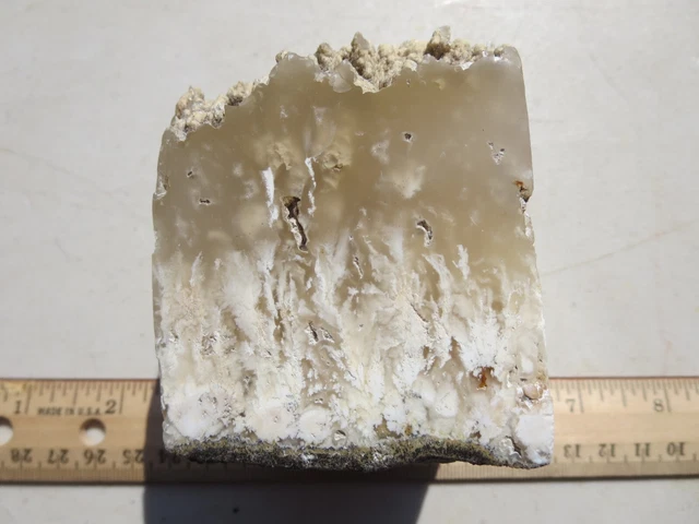 544  Face Polished Stinking Water Plume Agate, Display Or Cut For Cabs.  Oregon