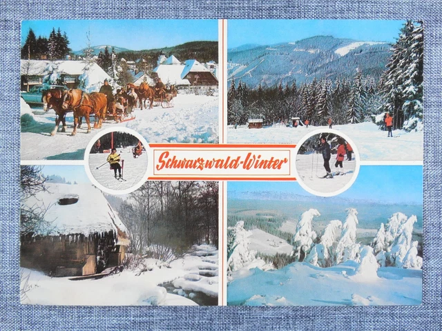 Schwarzwald Black Forest Mountains Winter Ski Germany Postcard unposted 1980s