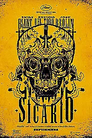 Sicario DVD (2016) Emily Blunt, Villeneuve (DIR) cert 15 FREE Shipping, Save £s