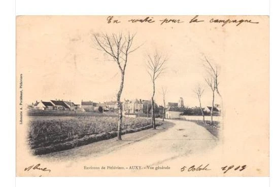CPA 45 Loiret - Pithiviers En Gâtinais - Récolte Du Safran - Carte Postale Ancienne 1900