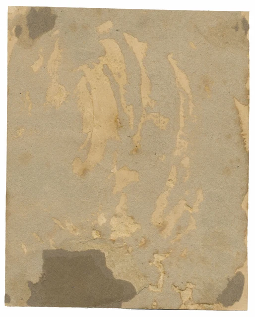 Portrait of a Young Lady with Ringlets – mid-19th-century watercolour painting 2
